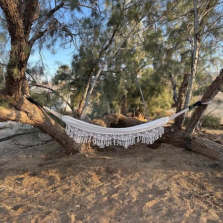 Casa Agave: Comfy Joshua Tree Cottage With Free Breakfast Bar エクステリア 写真