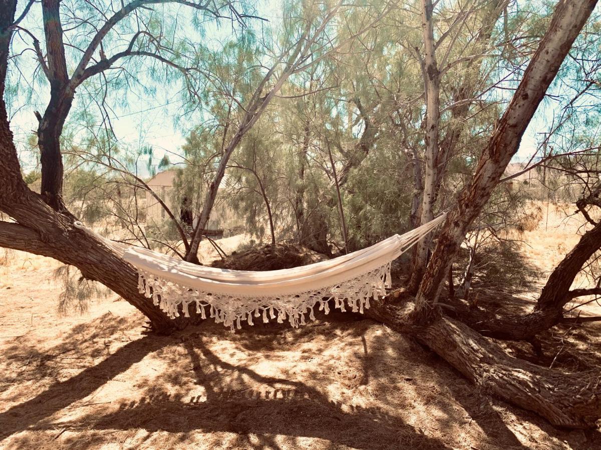Casa Agave: Comfy Joshua Tree Cottage With Free Breakfast Bar エクステリア 写真